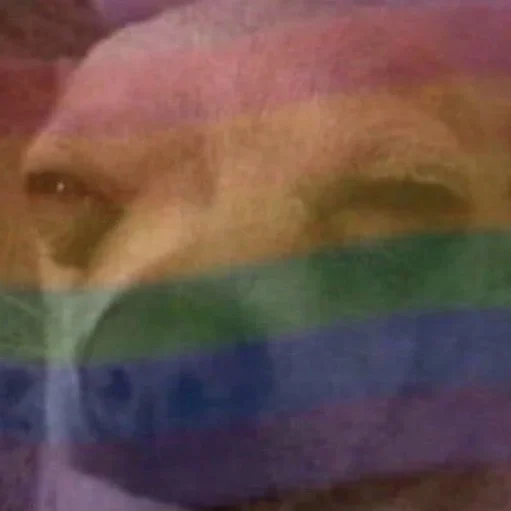 Pansexuality, or Whatever