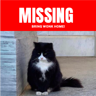 True Crime: Looking into the Disappearance of Wonk Cat