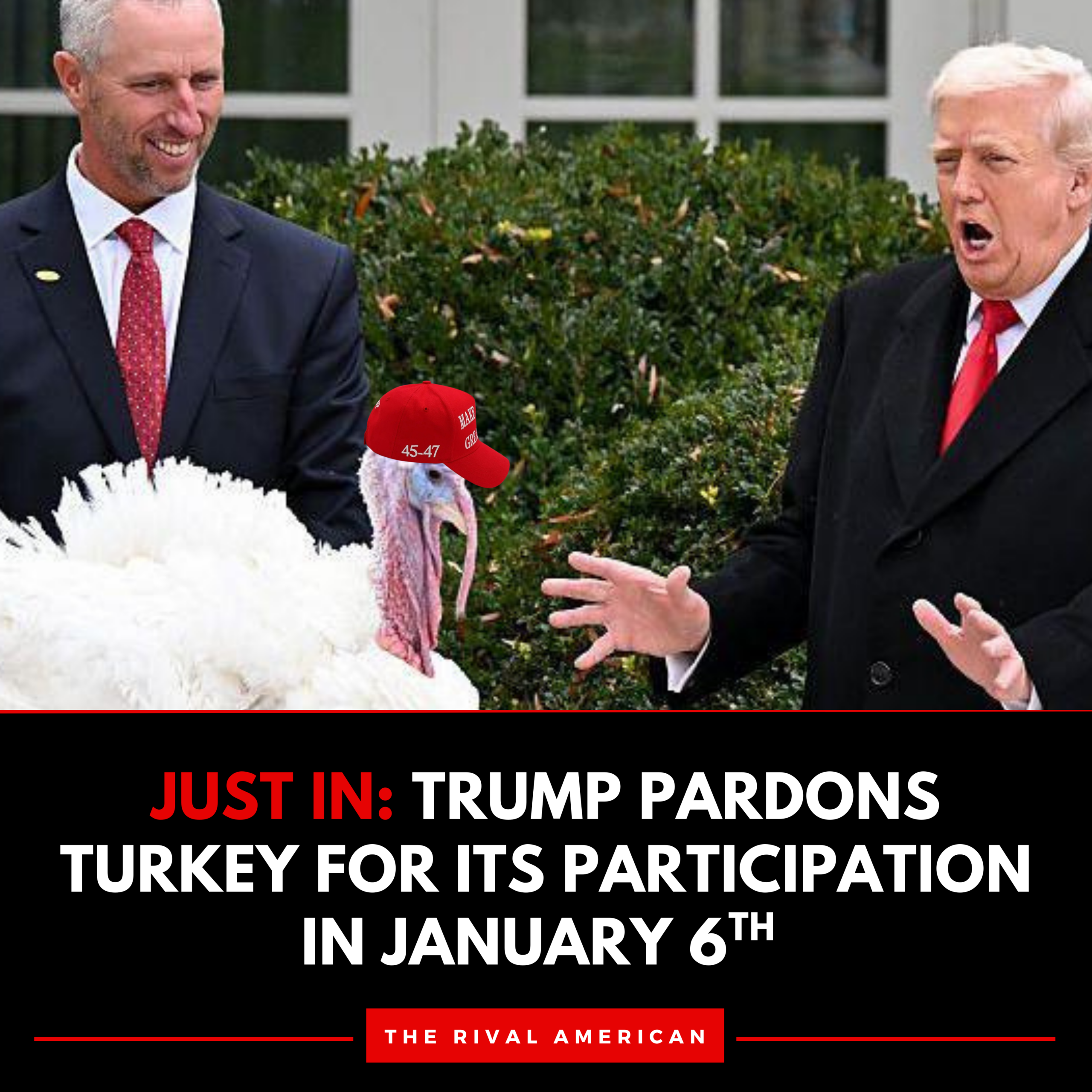 JUST IN: Trump pardons turkey for its participation in January 6th
